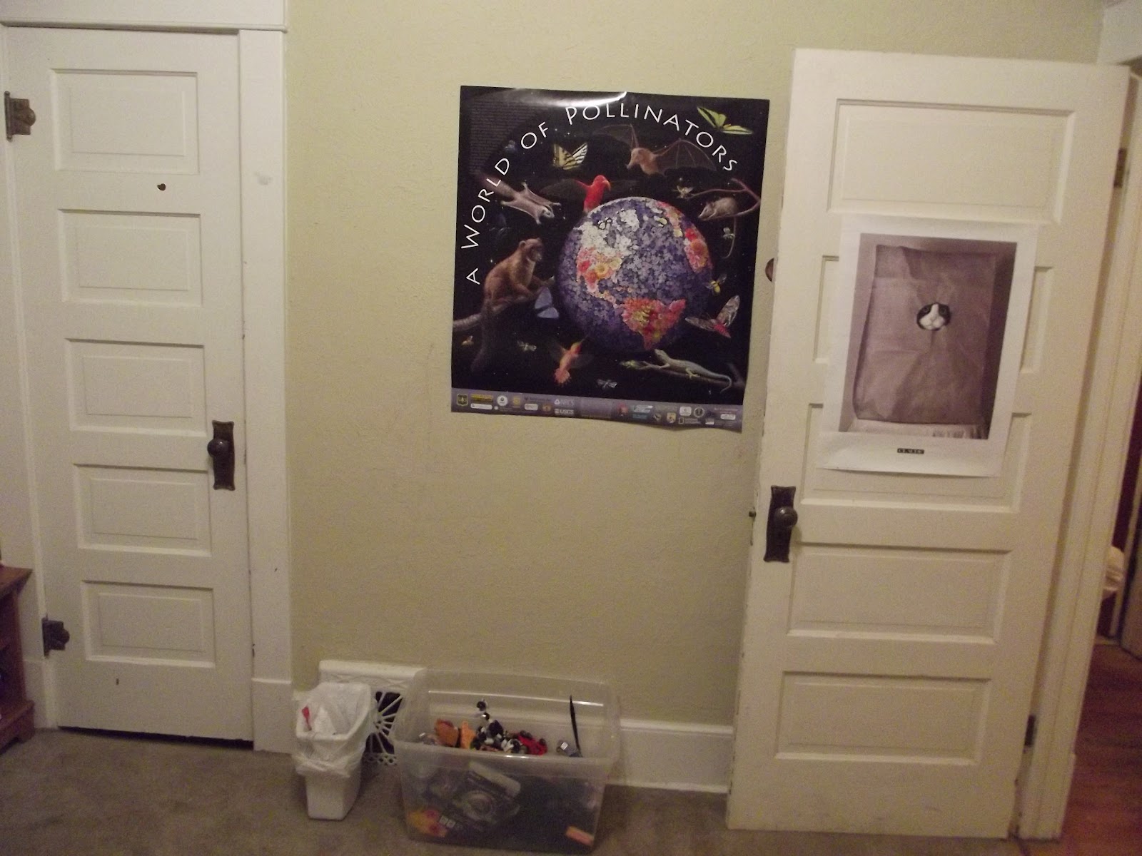 Doors with posters