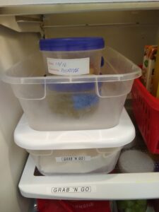 Kitchen essentials-Leftovers in refrigerator are all labeled